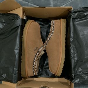 Tasman uggs